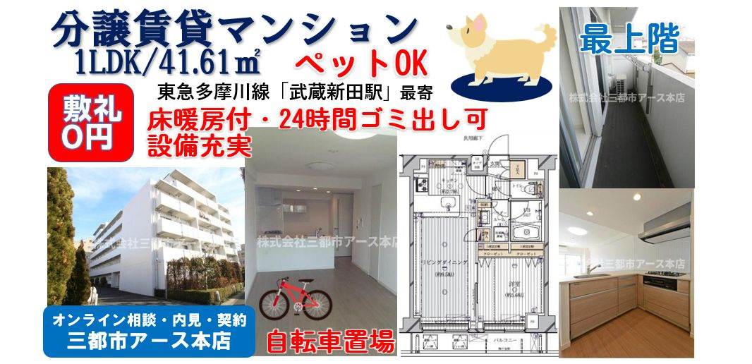 【敷金０円・礼金０円】ペット可の分譲賃貸マンション1LDK｜大田区矢口の画像