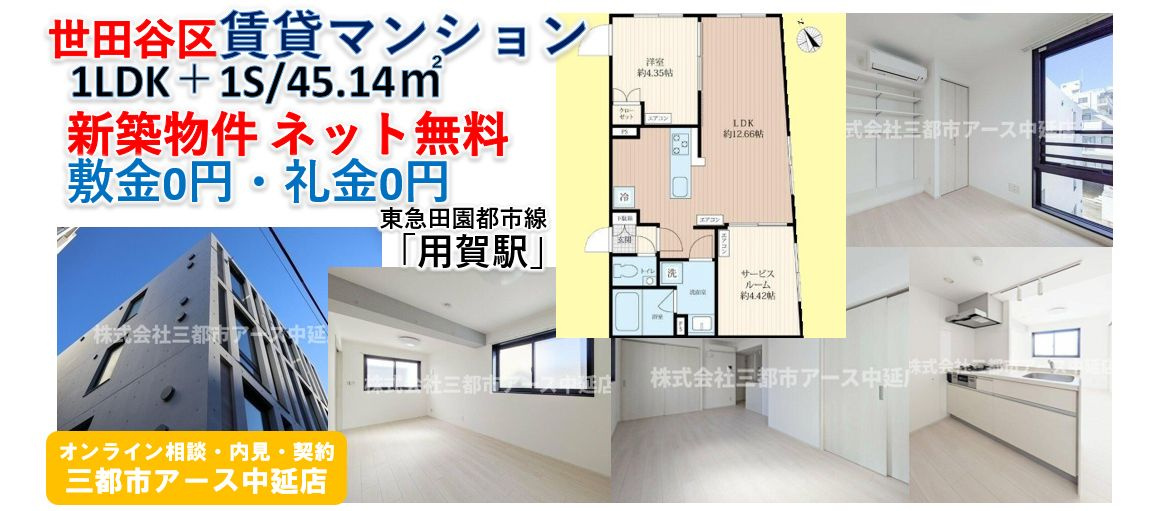 【STRIPES用賀Ⅱ】