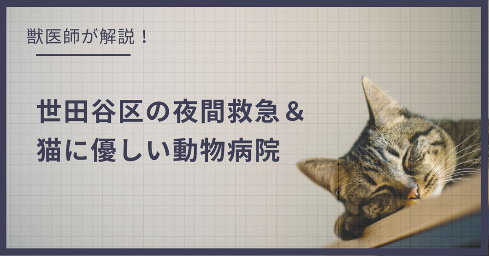 世田谷区の猫可賃貸探し！獣医師が選ぶ「夜間救急＆猫に優しい動物病院（CFC）」完全ガイドの画像