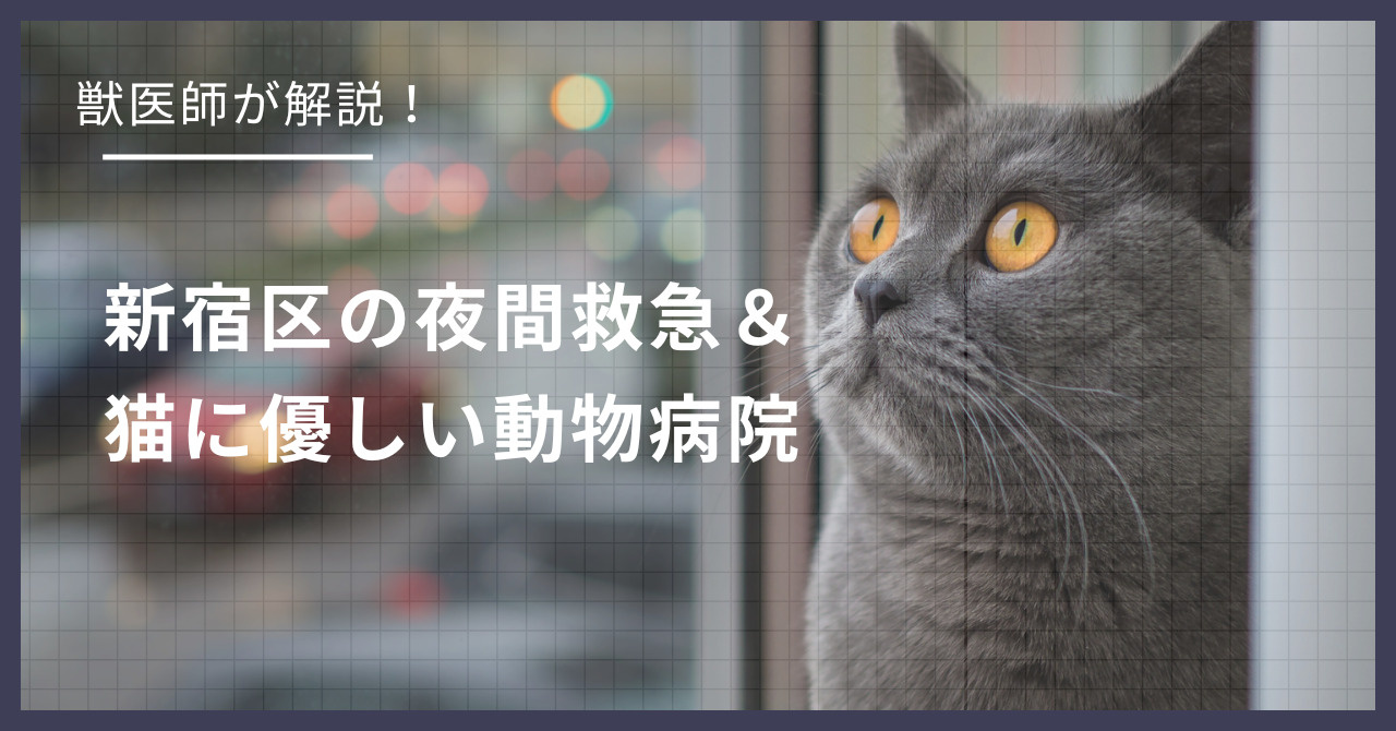 新宿区の猫可賃貸探し！獣医師が選ぶ「夜間救急＆猫に優しい動物病院（CFC）」完全ガイドの画像