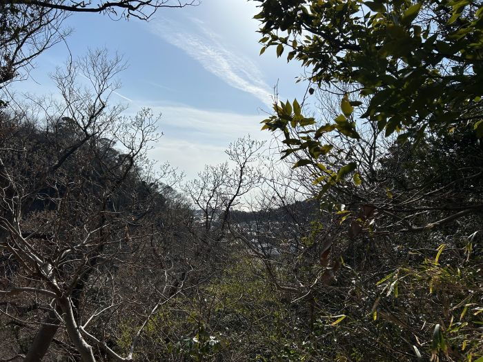 緑に囲まれた葉山生活の魅力の画像