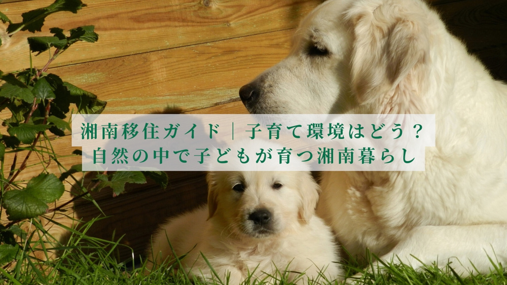 湘南移住で子育てはどう？自然の中で暮らす湘南の子育て環境を解説の画像