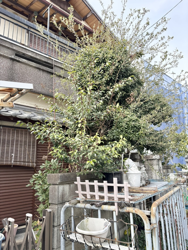 【売却実績】伊丹市　古家付土地の画像