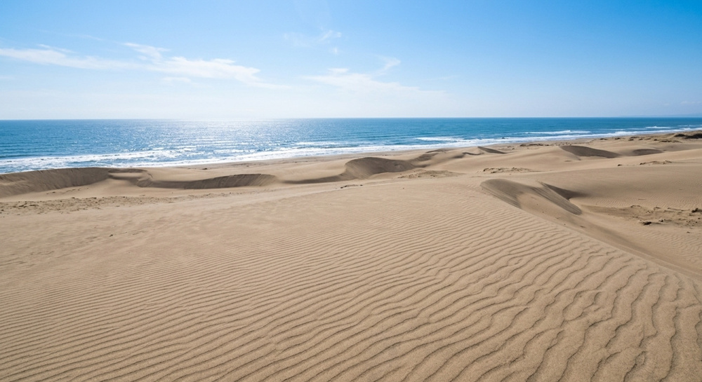 日本三大砂丘の一つ！浜松市中央区の「中田島砂丘」の概要と施設の特徴をご紹介します！の画像