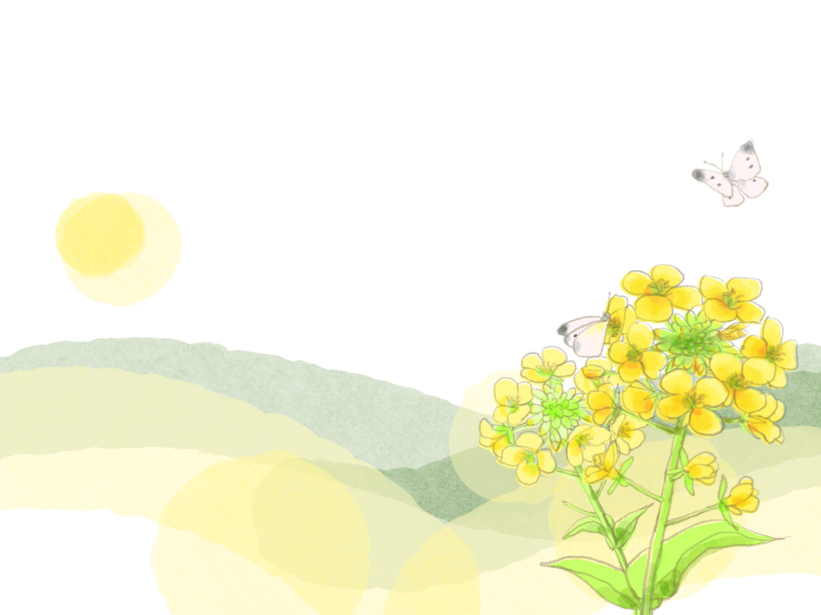 4月定休日のご案内の画像