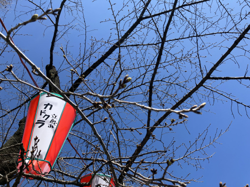 (株)メイワ・エステート