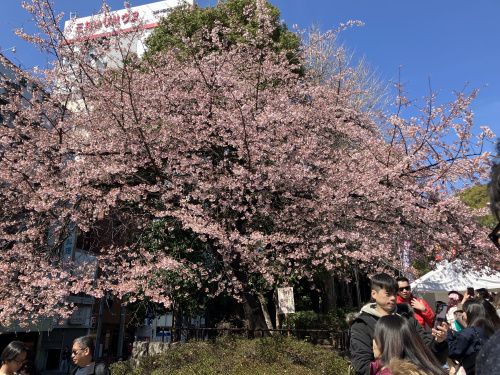 (株)メイワ・エステート