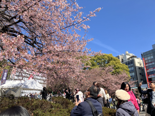 (株)メイワ・エステート