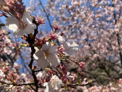 (株)メイワ・エステート