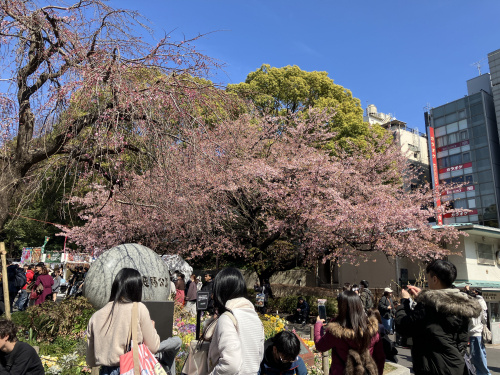 (株)メイワ・エステート
