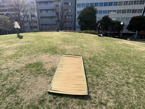 【周辺まち情報】界隈のオアシスの画像