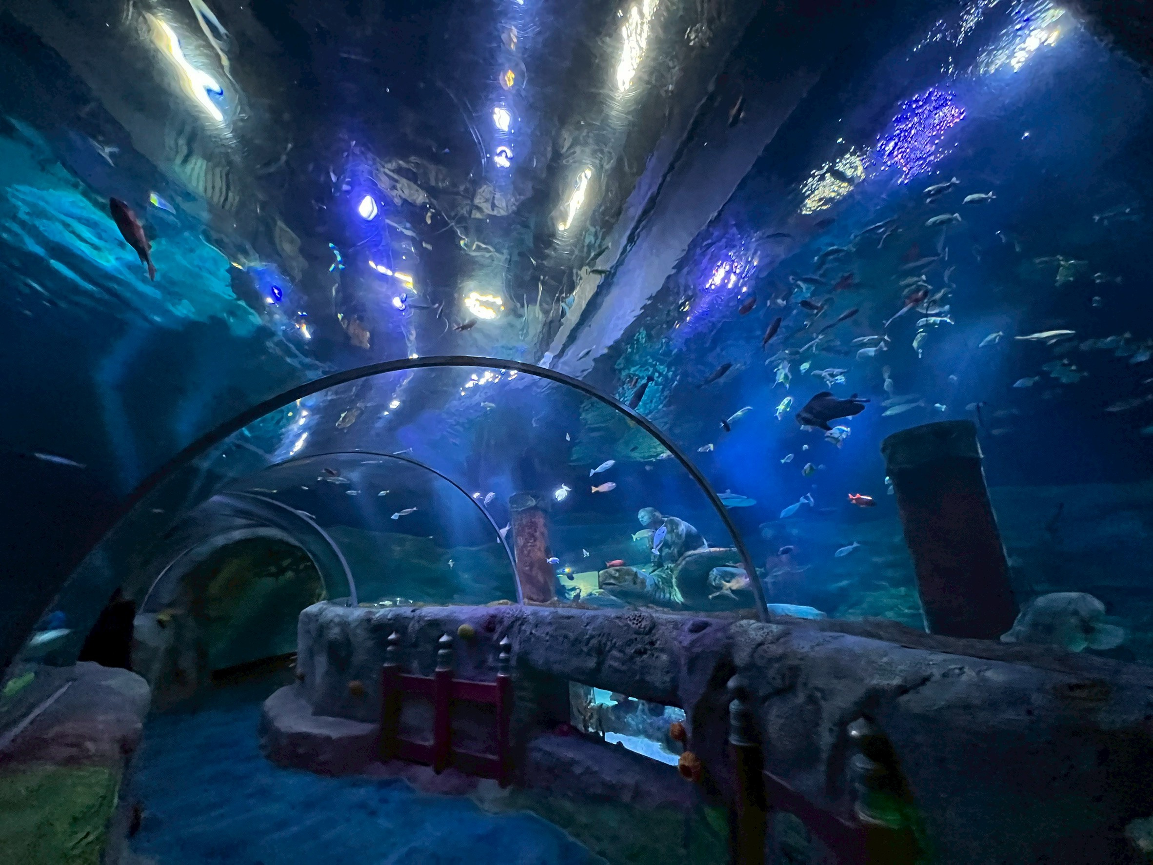 あつまれ！の画像