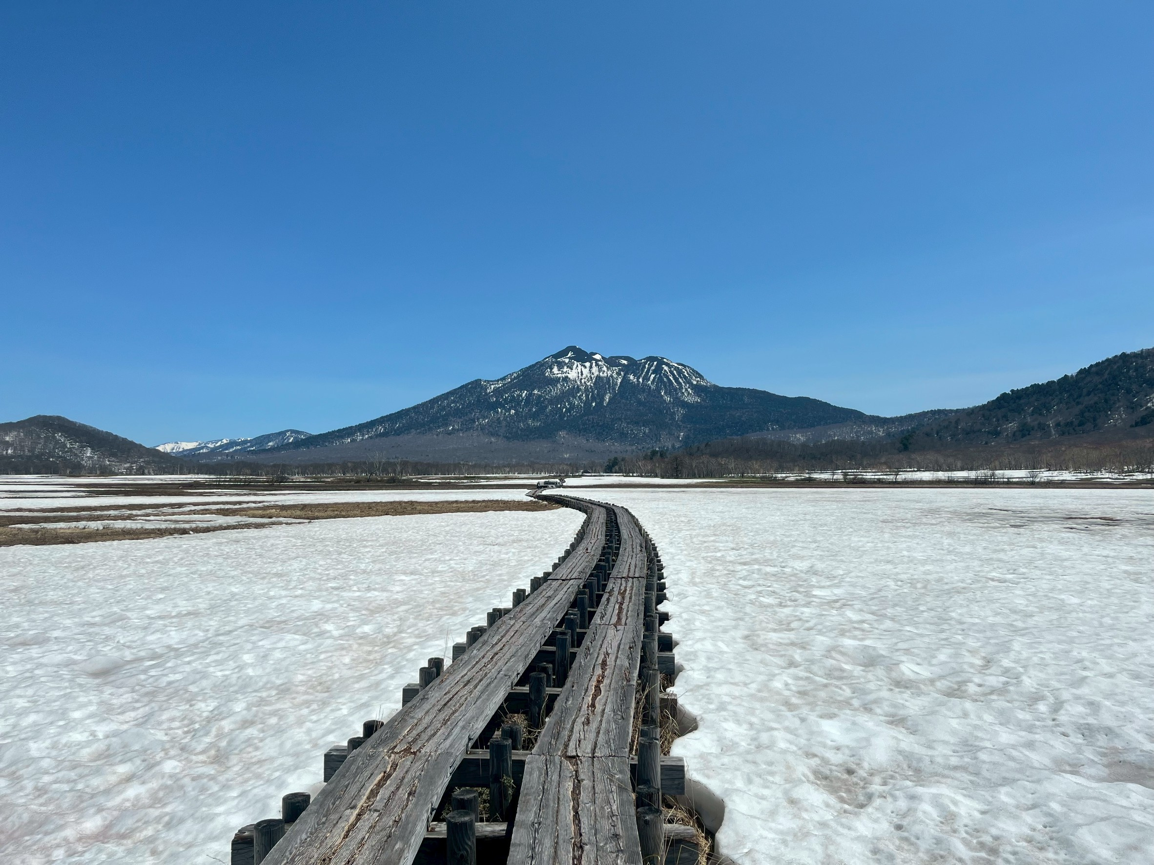 春の気配と、山の楽しみの画像