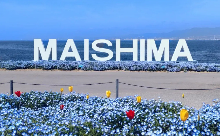 舞洲ネモフィラ祭り2026開催！青い絶景が広がる春の人気イベントの画像