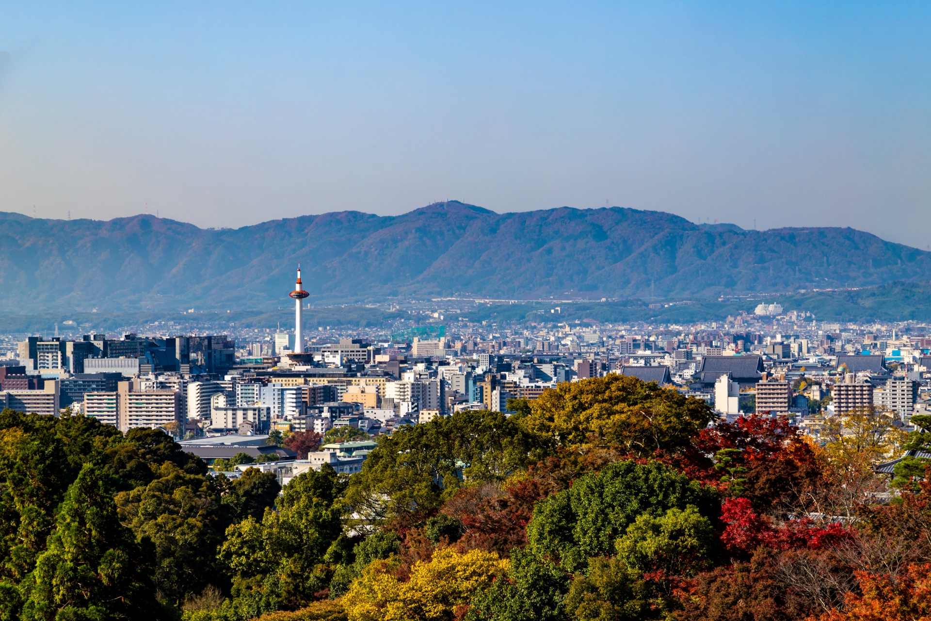 京都で新婚カップルが知るべき不動産市場動向2026年！購入前の注意点も解説の画像