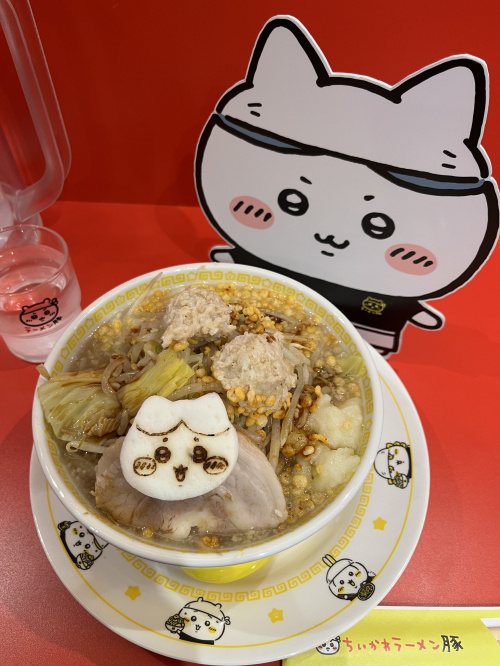 猫が喜ぶ間取りの工夫はどこにある?暮らしやすい家づくりのポイントも紹介の画像