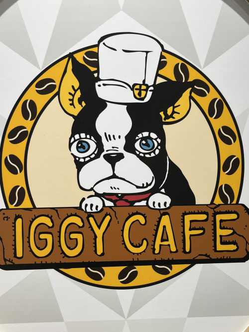 マンションでペットは何匹まで飼える？複数飼育の注意点も解説の画像