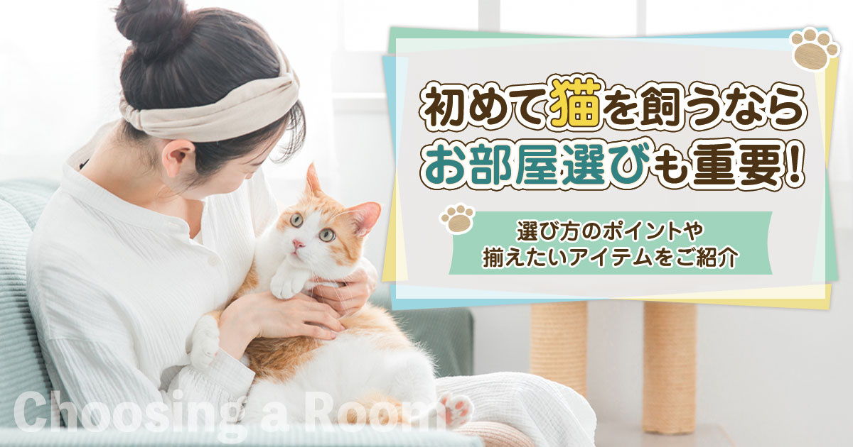 初めて猫を飼うならお部屋選びも重要！選び方のポイントや揃えたいアイテムをご紹介