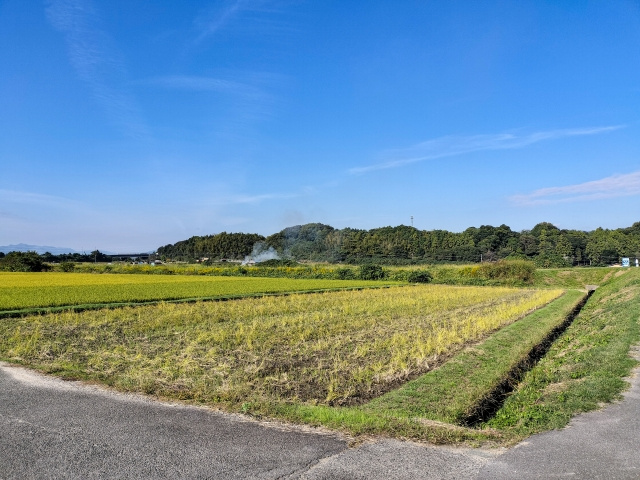高崎市で土地購入を考える方必見!青地と白地の違いをわかりやすく解説の画像