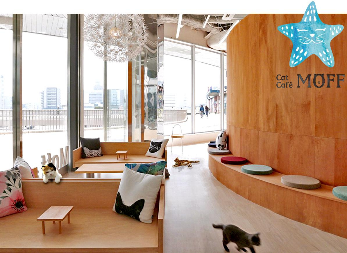 にゃんパラへ・・・！！の画像