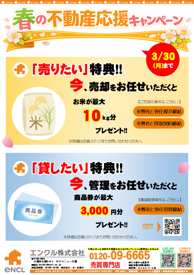 ブログ記事トップ画像