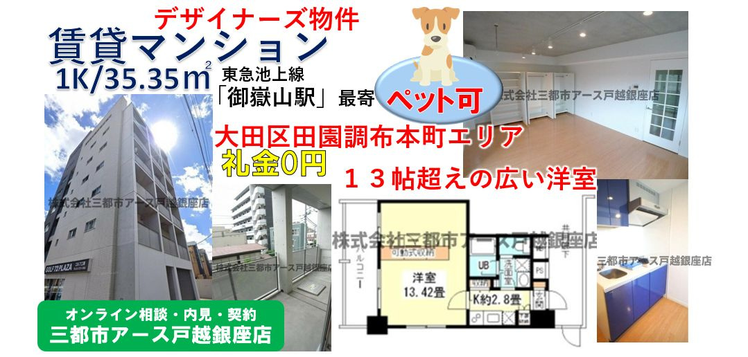 【ＭＯＤＥＲＮＯ】 35㎡超・13帖超・広い1K・賃貸マンション・デザイナーズ物件・ペット可・東急池上線・御嶽山駅