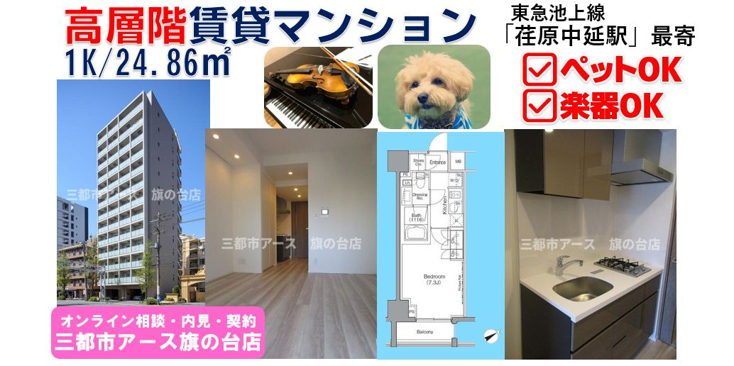 【ミレーネ品川荏原 11階】