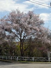 登記の住所変更義務化の画像