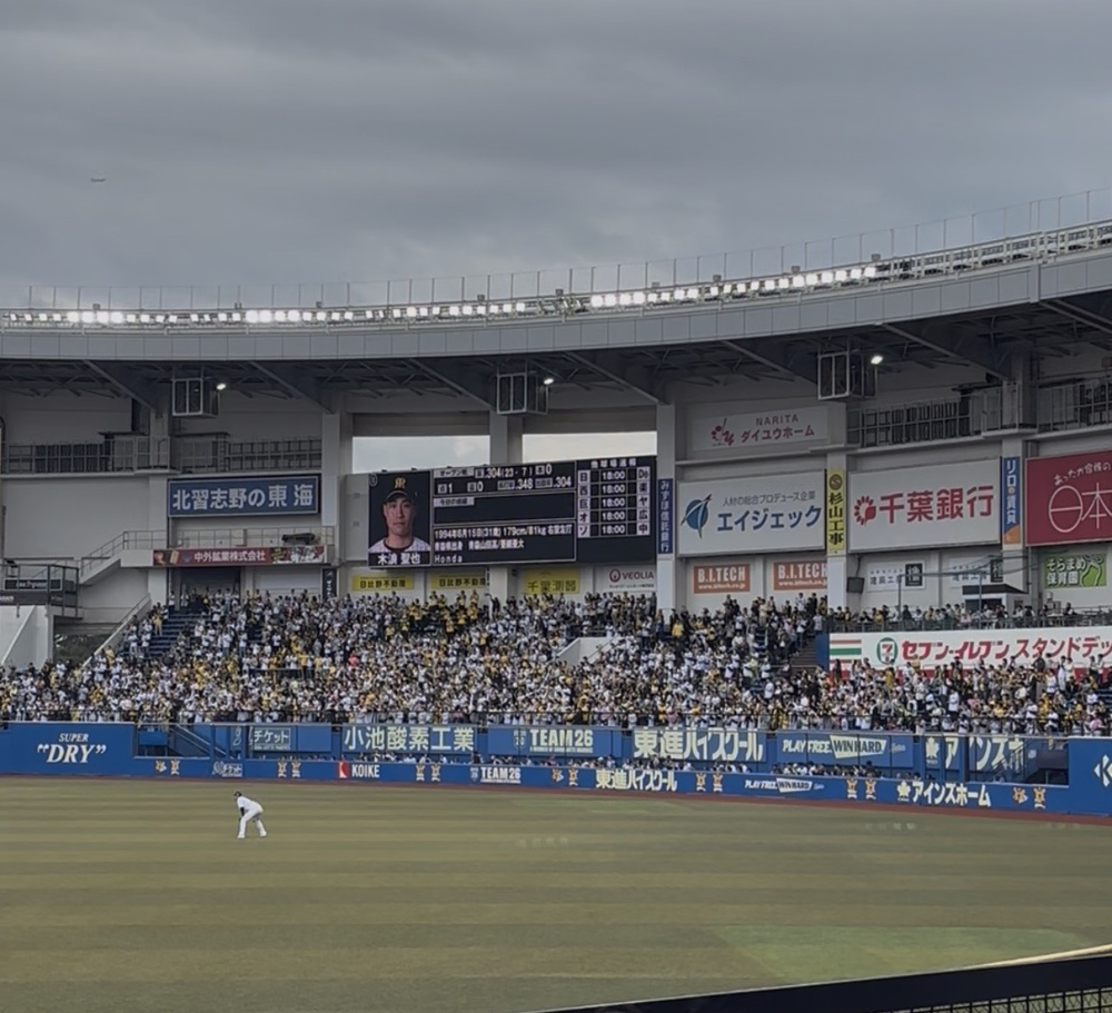頑張れマリーンズ22の画像