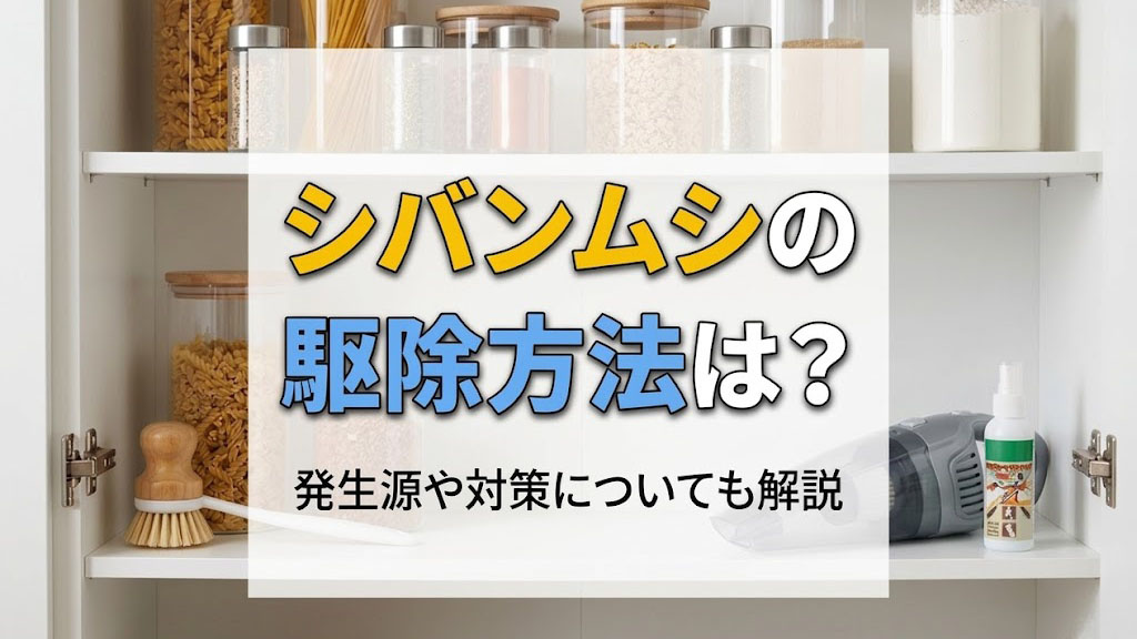 シバンムシの駆除方法は？発生源や対策についても解説の画像