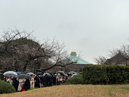 【日本の3月】桜と袴の卒業式に見る「別れと旅立ちの文化」の画像