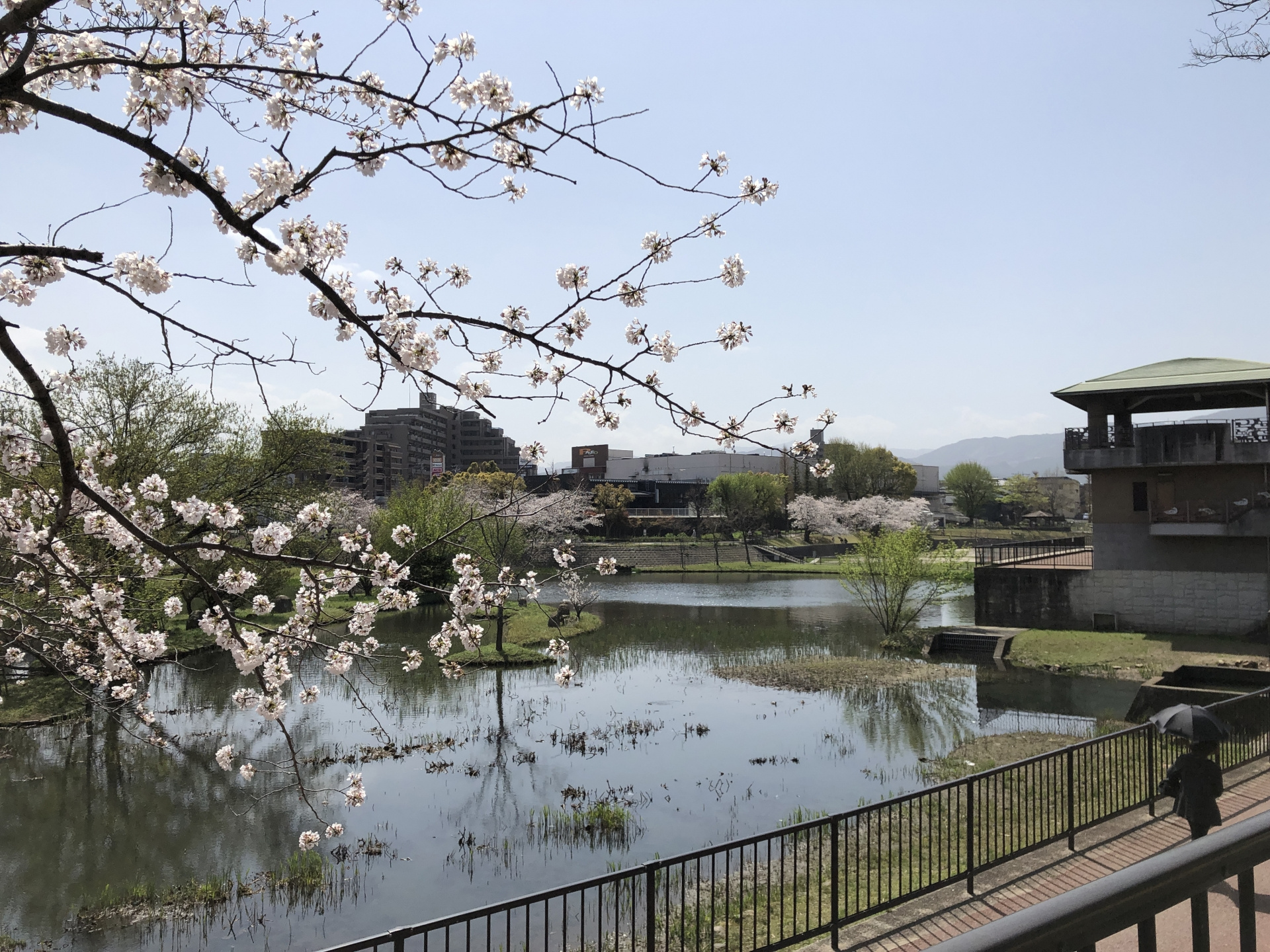 野多目大池