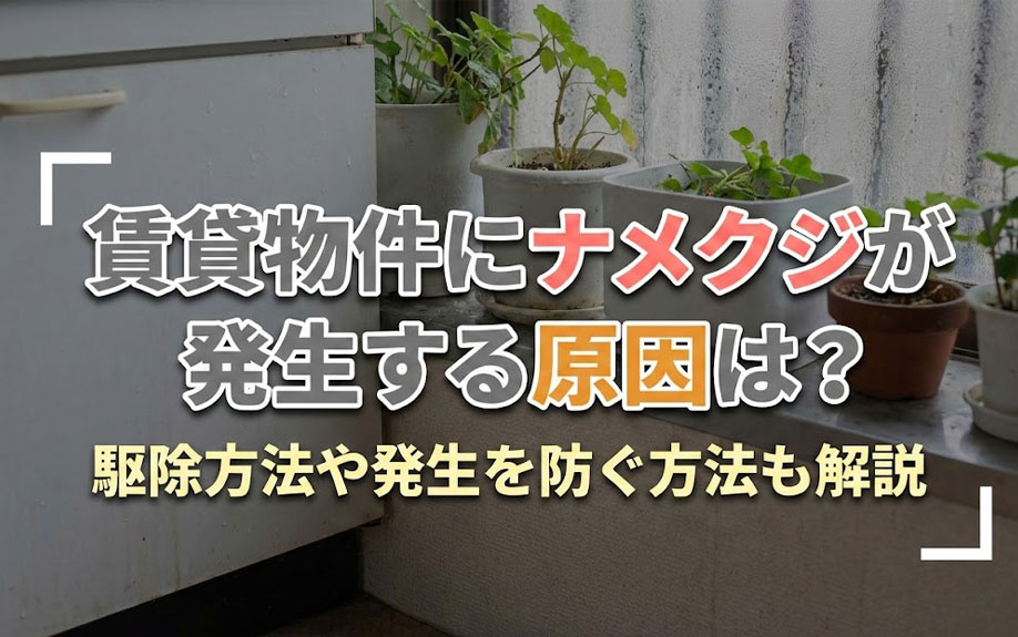 賃貸物件にナメクジが発生する原因は？駆除方法や発生を防ぐ方法も解説の画像