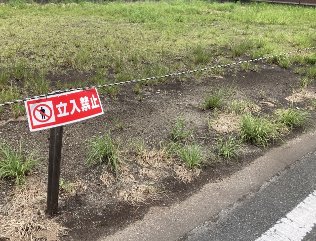 土地を半分売る際の流れは？分筆にかかる費用や注意点についても解説の画像