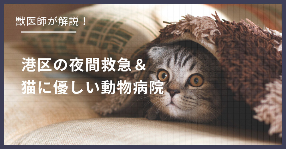 港区の猫可賃貸探し！獣医師が選ぶ「夜間救急＆猫に優しい動物病院（CFC）」完全ガイドの画像