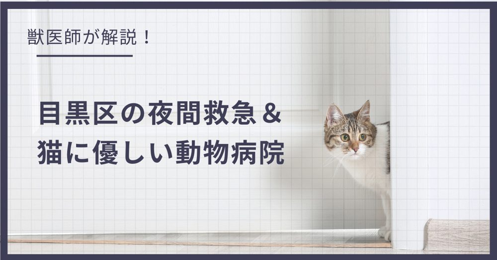 目黒区の猫可賃貸探し！獣医師が選ぶ「夜間救急＆猫に優しい動物病院（CFC）」完全ガイドの画像