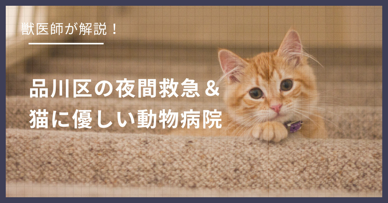 品川区の猫可賃貸探し!獣医師が選ぶ「夜間救急&猫に優しい動物病院(CFC)」完全ガイドの画像