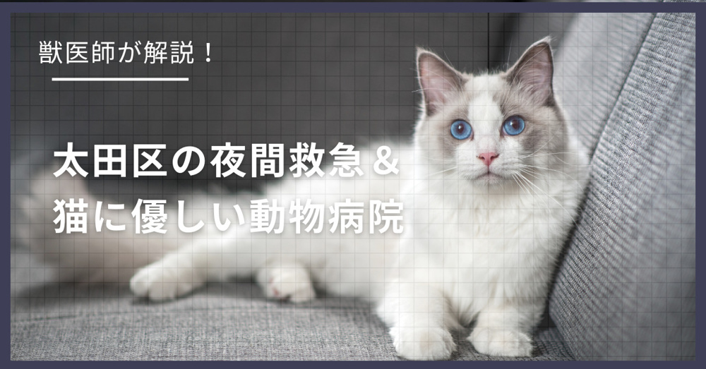太田区の猫可賃貸探し！獣医師が選ぶ「夜間救急＆猫に優しい動物病院（CFC）」完全ガイドの画像