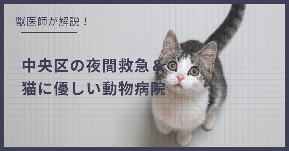 中央区の猫可賃貸探し！獣医師が選ぶ「夜間救急＆猫に優しい動物病院（CFC）」完全ガイドの画像