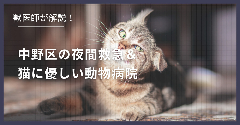 中野区の猫可賃貸探し！獣医師が選ぶ「夜間救急＆猫に優しい動物病院（CFC）」完全ガイドの画像