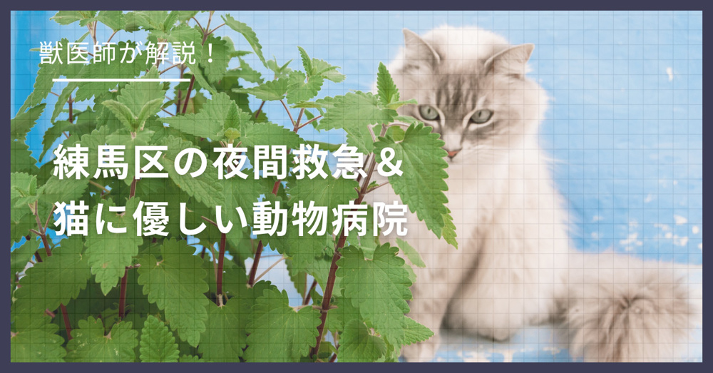 練馬区の猫可賃貸探し！獣医師が選ぶ「夜間救急＆猫に優しい動物病院（CFC）」完全ガイドの画像