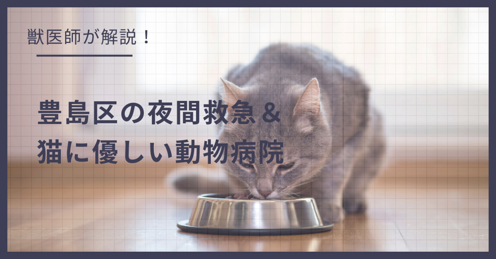 豊島区の猫可賃貸探し！獣医師が選ぶ「夜間救急＆猫に優しい動物病院（CFC）」完全ガイドの画像
