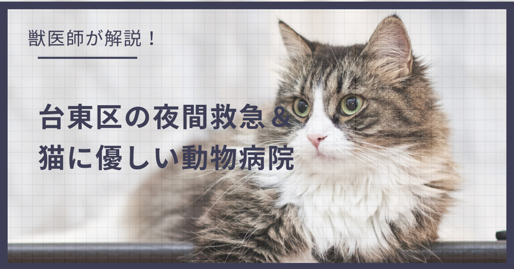 台東区の猫可賃貸探し！獣医師が選ぶ「夜間救急＆猫に優しい動物病院（CFC）」完全ガイドの画像