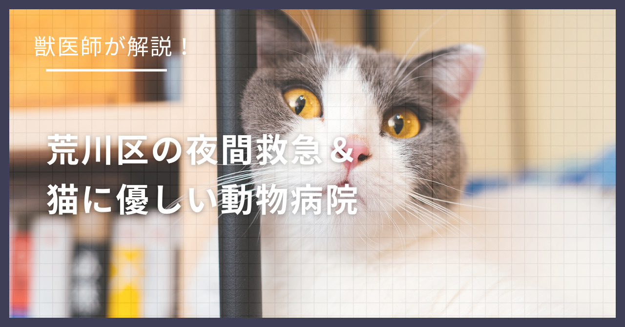荒川区の猫可賃貸探し！獣医師が選ぶ「夜間救急＆猫に優しい動物病院（CFC）」完全ガイドの画像