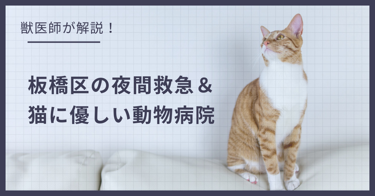 板橋区の猫可賃貸探し！獣医師が選ぶ「夜間救急＆猫に優しい動物病院」完全ガイドの画像