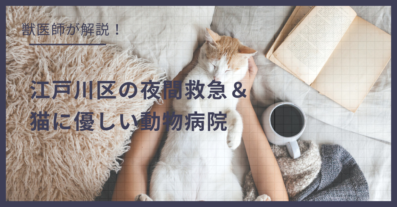 江戸川区の猫可賃貸探し！獣医師が選ぶ「夜間救急＆猫に優しい動物病院」完全ガイドの画像