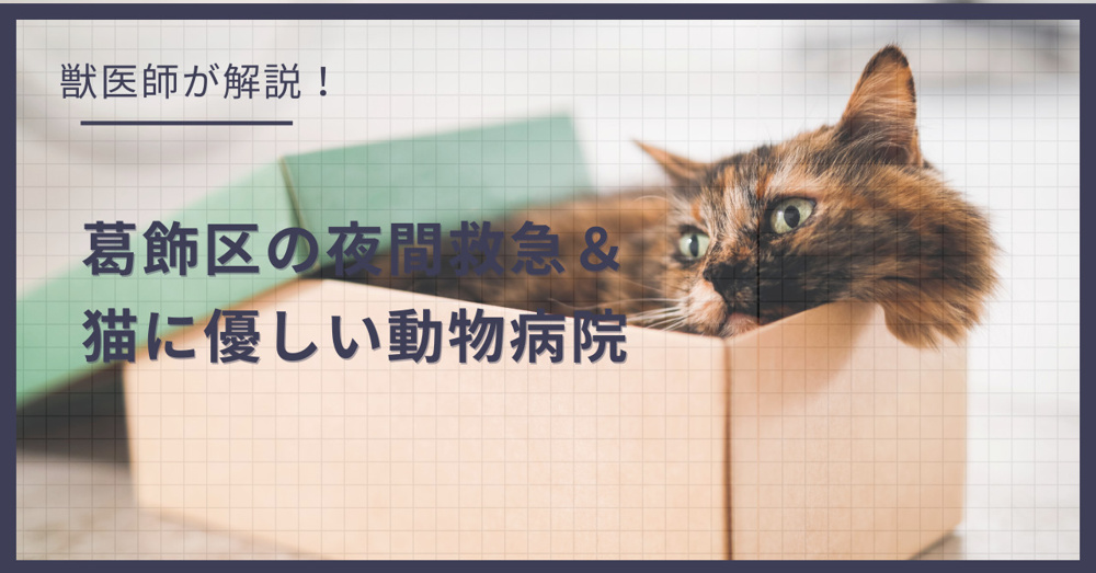 葛飾区の猫可賃貸探し！獣医師が選ぶ「夜間救急＆猫に優しい動物病院（CFC）」完全ガイドの画像