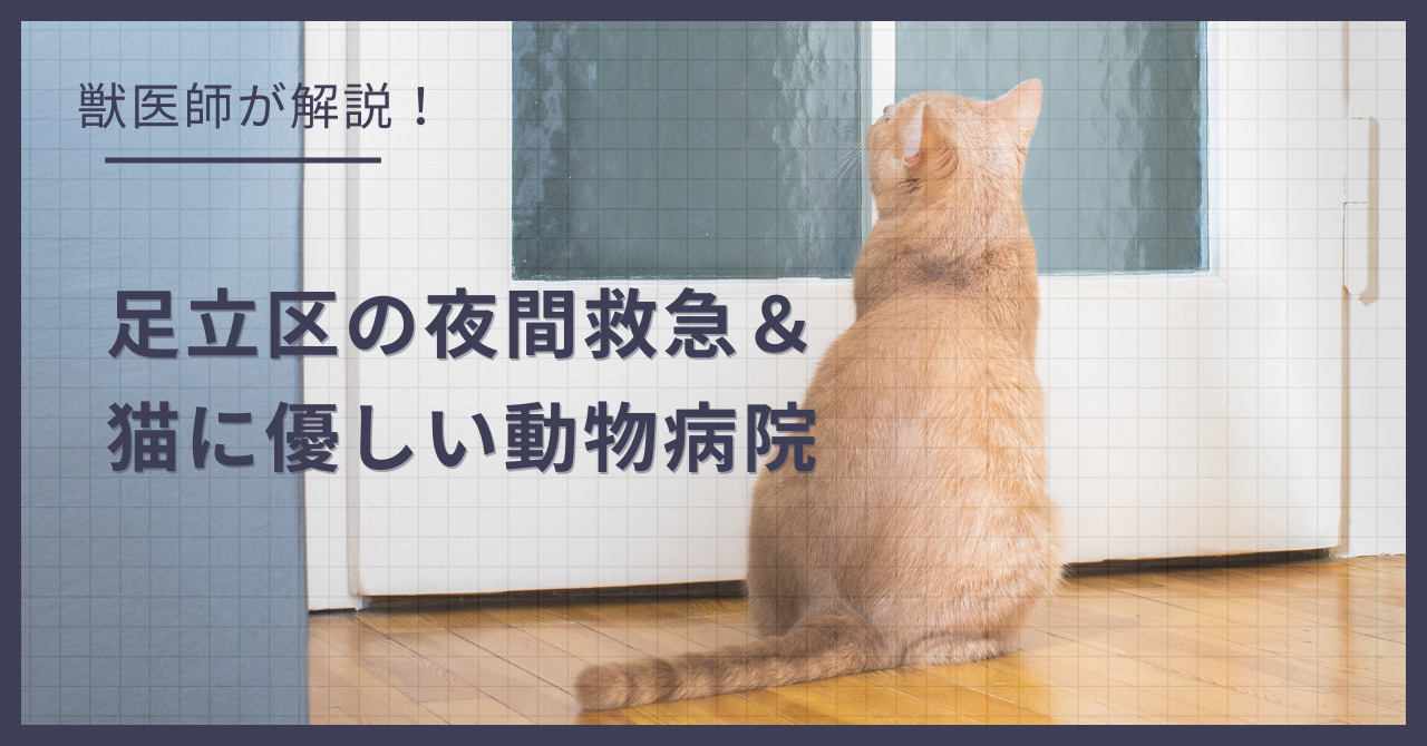 足立区の猫可賃貸探し！獣医師が選ぶ「夜間救急＆猫に優しい動物病院（CFC）」完全ガイドの画像