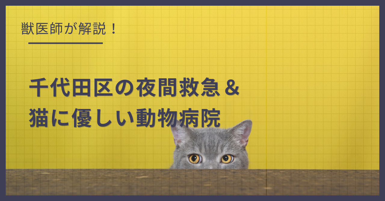 千代田区の猫可賃貸探し！獣医師が選ぶ「夜間救急＆猫に優しい動物病院（CFC）」完全ガイドの画像