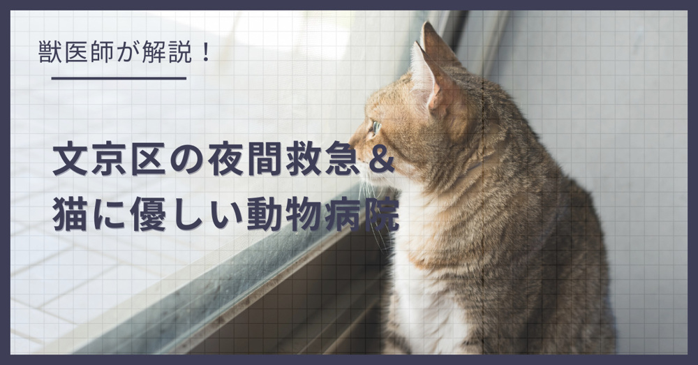 文京区の猫可賃貸探し！獣医師が選ぶ「夜間救急＆猫に優しい動物病院（CFC）」完全ガイドの画像